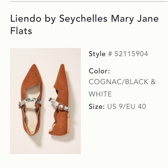 liendo by seychelles mary jane flats